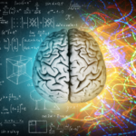 Holistic Human Development Workshop