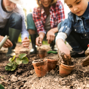 Constitutional Herbalism: Planning, Cultivation, & New Life